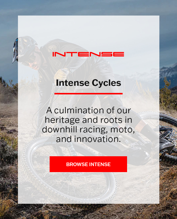 Intense best sale cycles electric